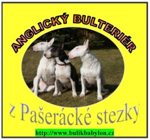 LOGO_STEZKA