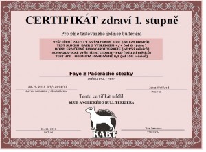 certifikát fay